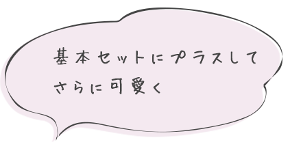 基本セットにプラスして