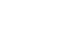 キュートな王冠に純白のベール