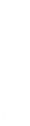 ショーケースはまるで宝石箱